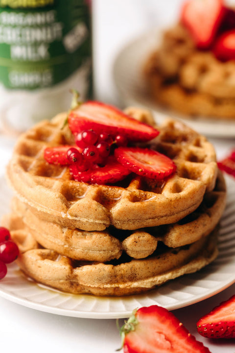 Vegan Gluten-Free Protein Waffles