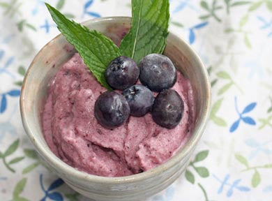 Coconut Blueberry Maple Ice Cream
