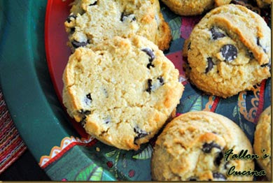 Wheat Free Coconut Flour Chocolate Chip Cookies