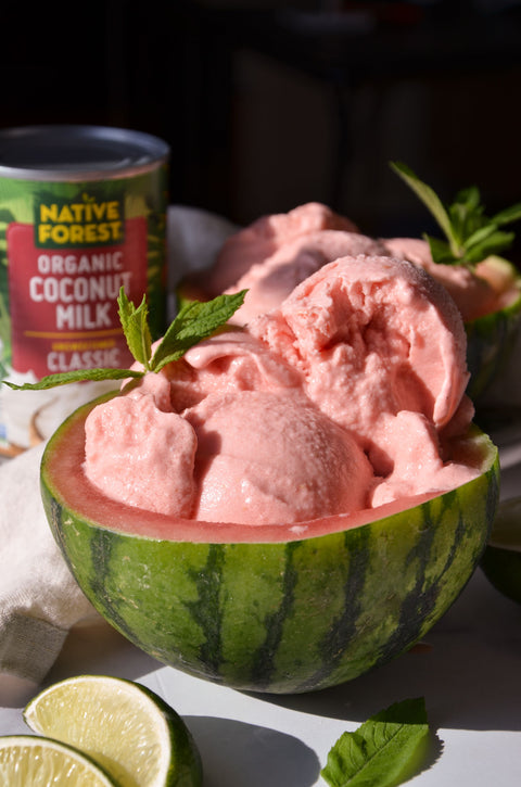 Dairy-Free Watermelon Sorbet