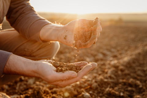 photo of farmer with soil in hands